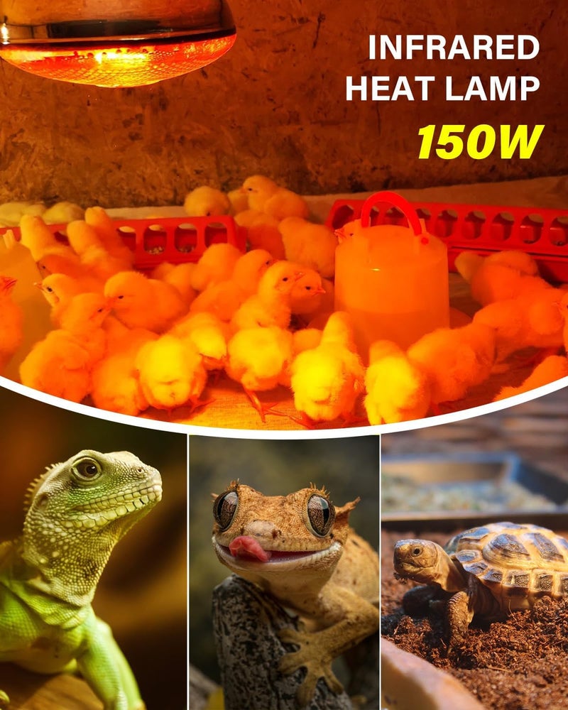 TobeBright مصابيح حرارة للدجاج في حظيرة الدجاج مع سلك توصيل، مفتاح تشغيل/إيقاف، 150 واط E26 مصباح حرارة زواحف ضوء أحمر تحت الحمراء للدجاج، الطيور، البط، الكلاب، القطط - Image 2